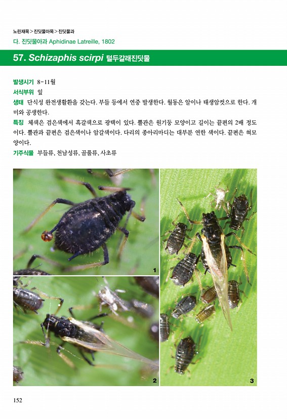 146페이지