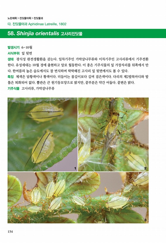 148페이지