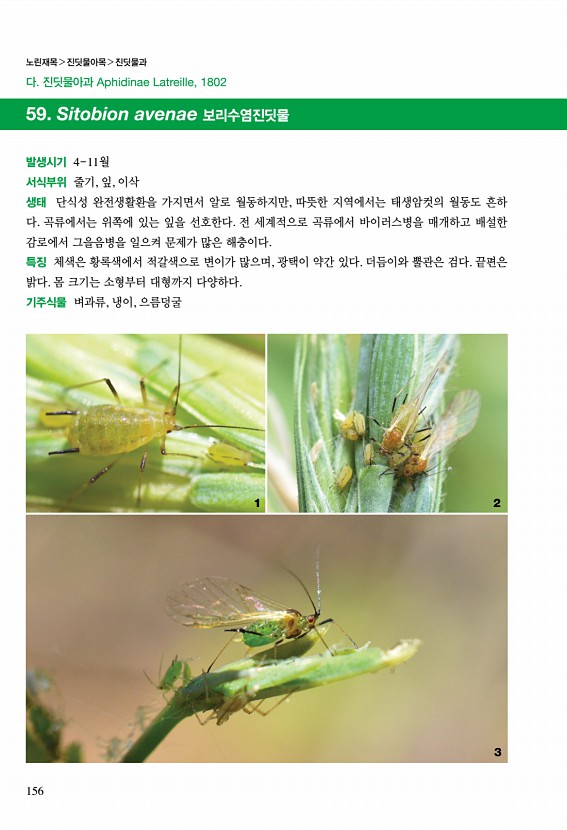 150페이지