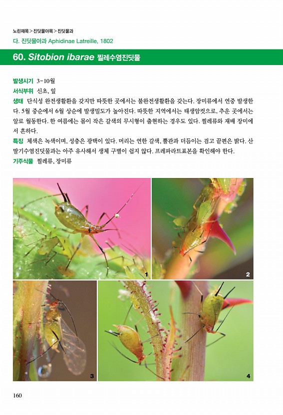 154페이지