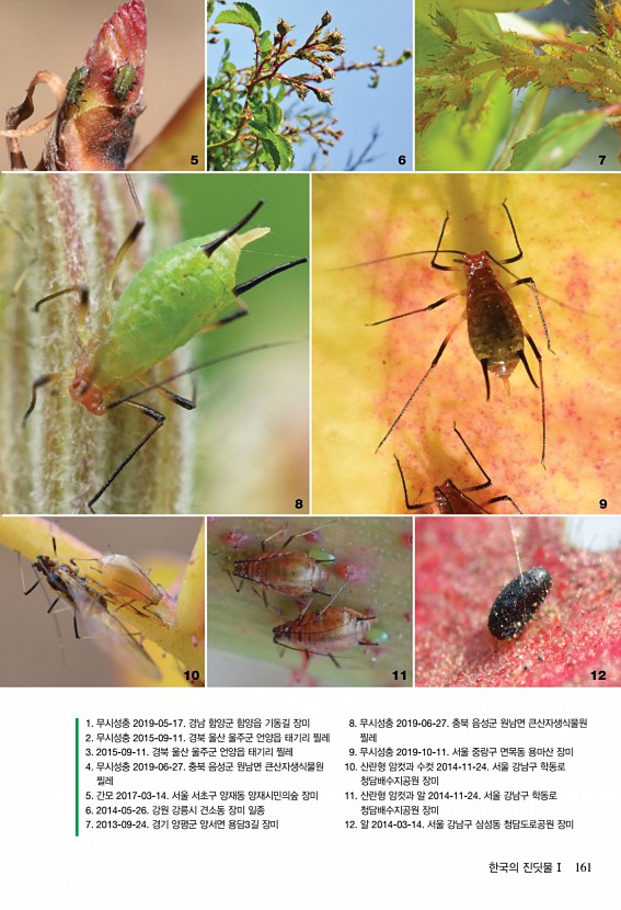 155페이지