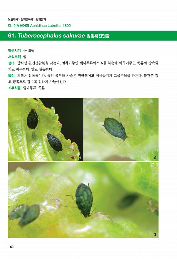 156페이지