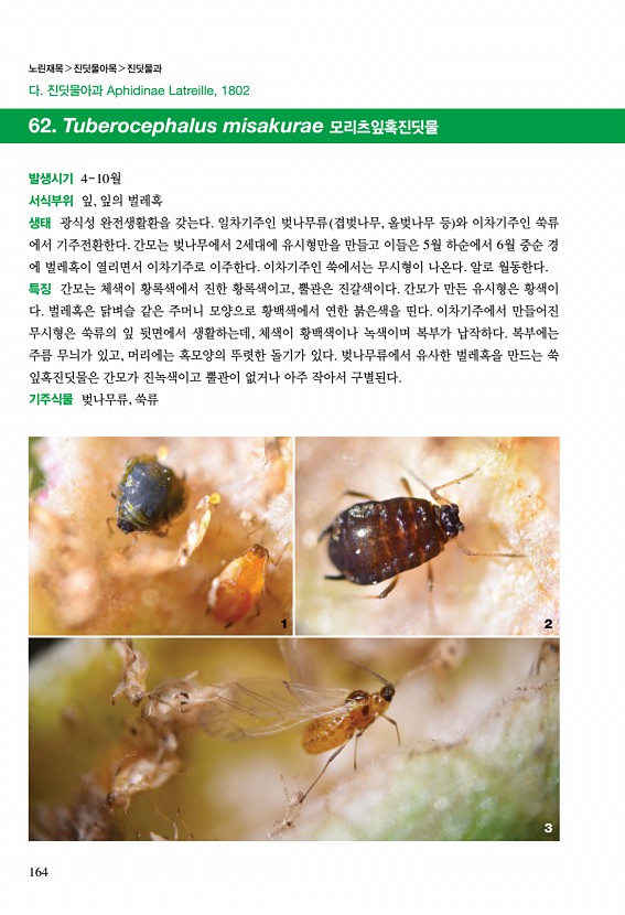 158페이지
