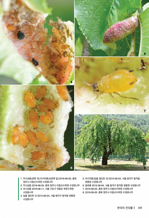 159페이지