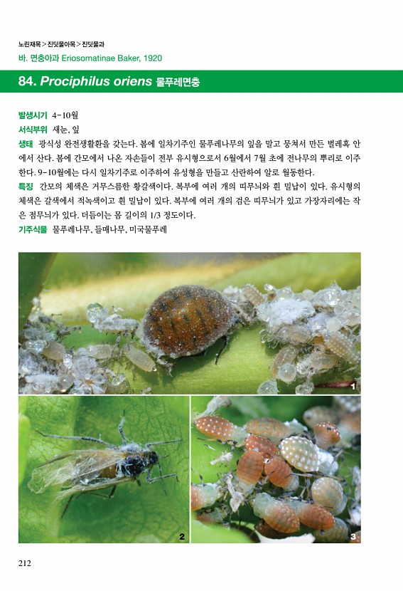 208페이지