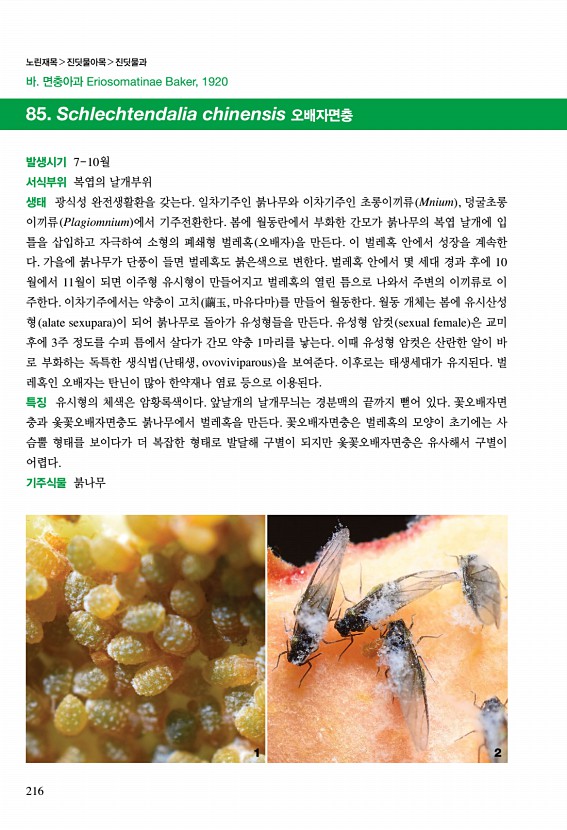 212페이지