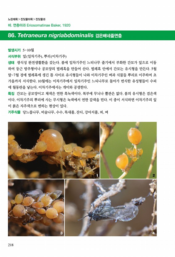 214페이지