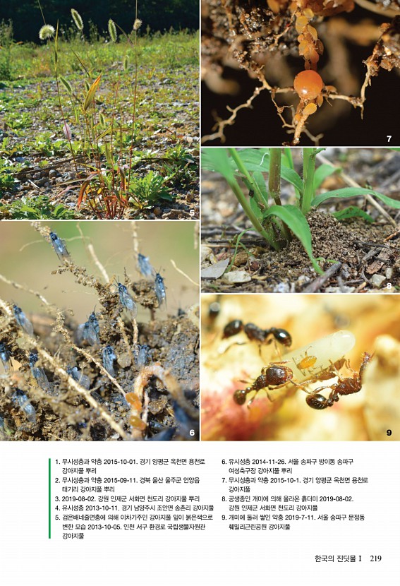 215페이지