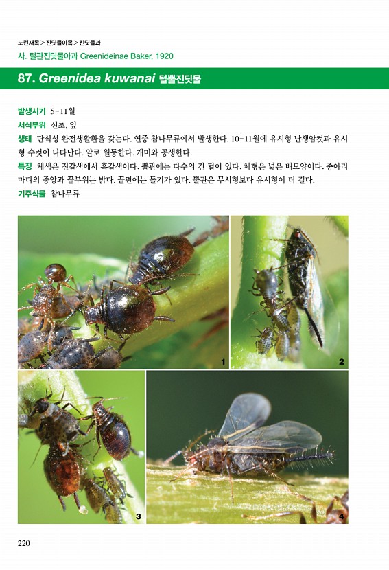 216페이지
