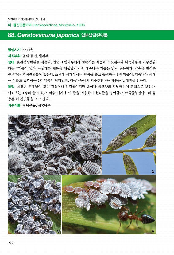 218페이지
