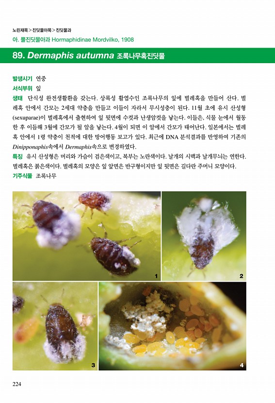 220페이지