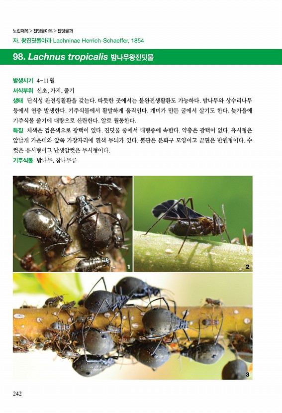 232페이지