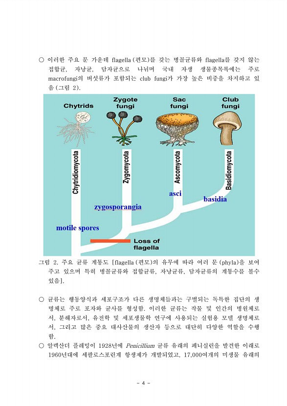 4페이지