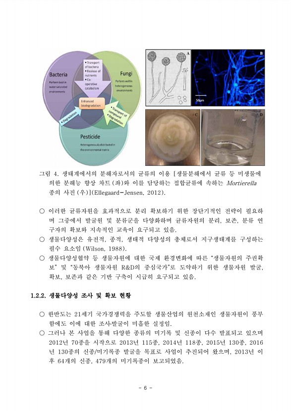 6페이지