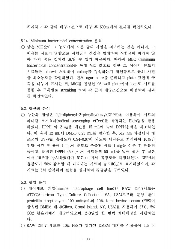 13페이지