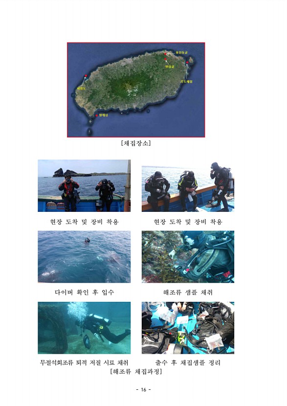 16페이지
