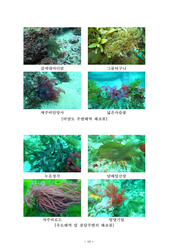 17페이지