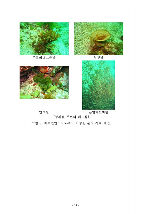 18페이지