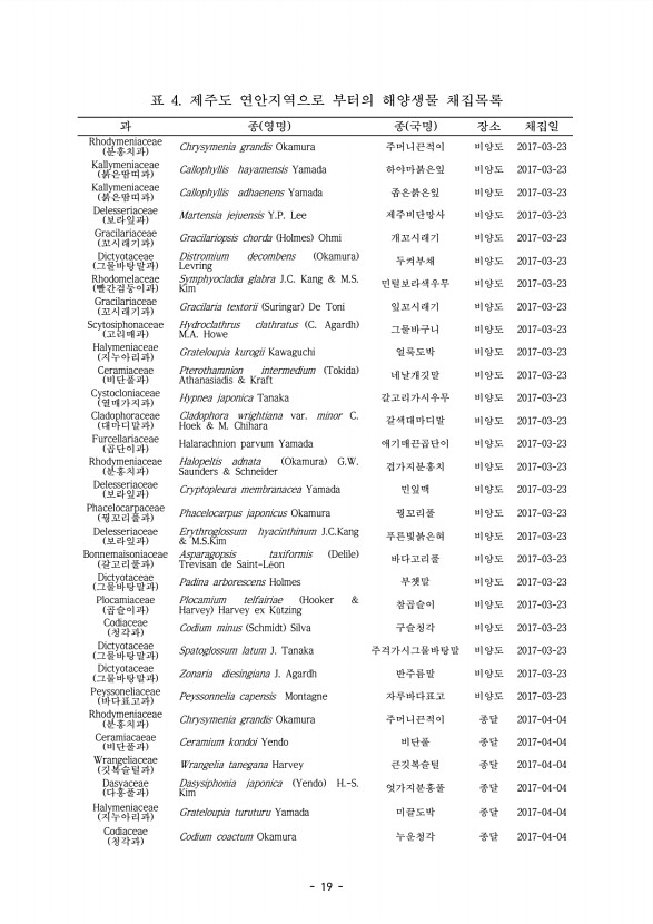 19페이지