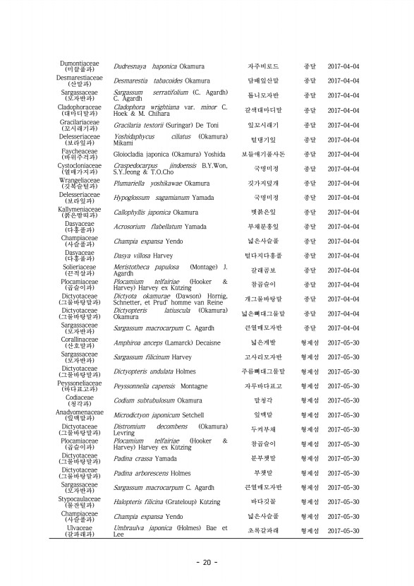 20페이지