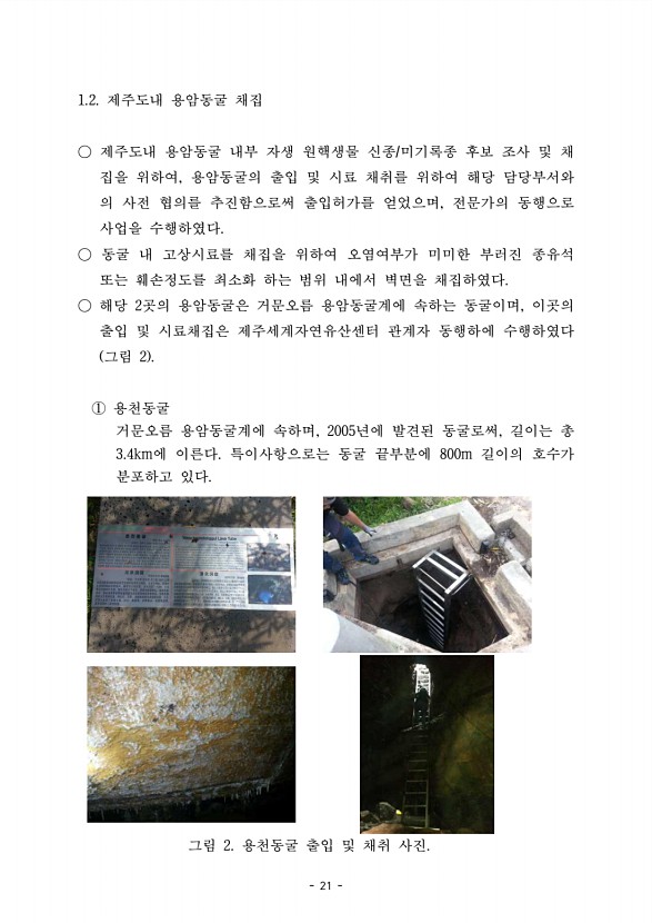 21페이지
