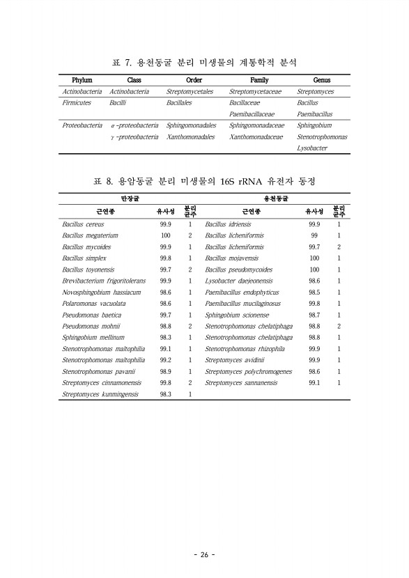 26페이지