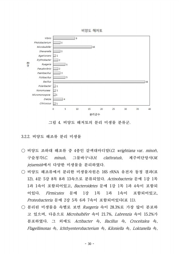 30페이지
