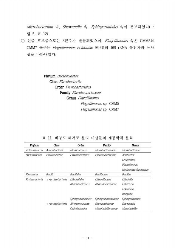 31페이지