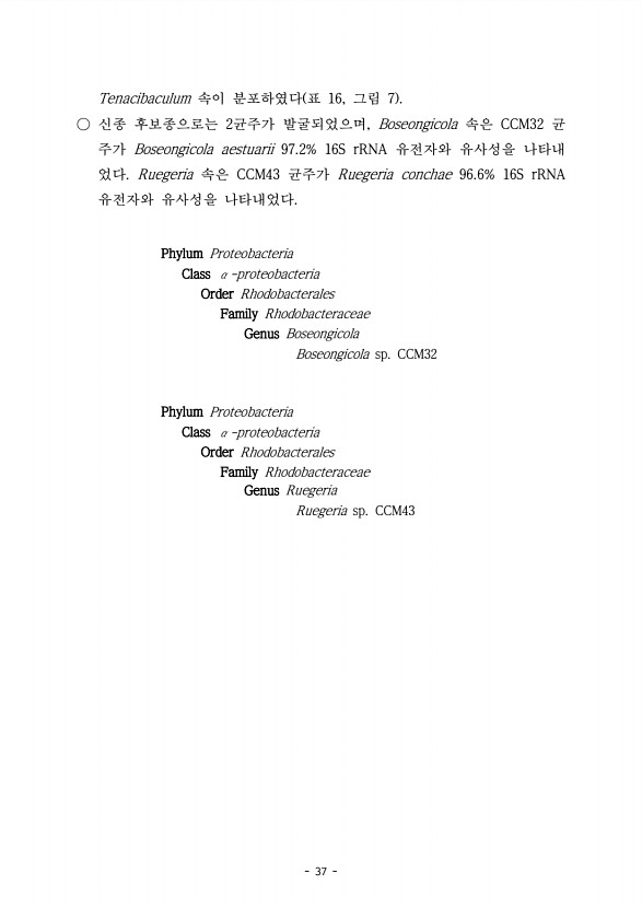 37페이지