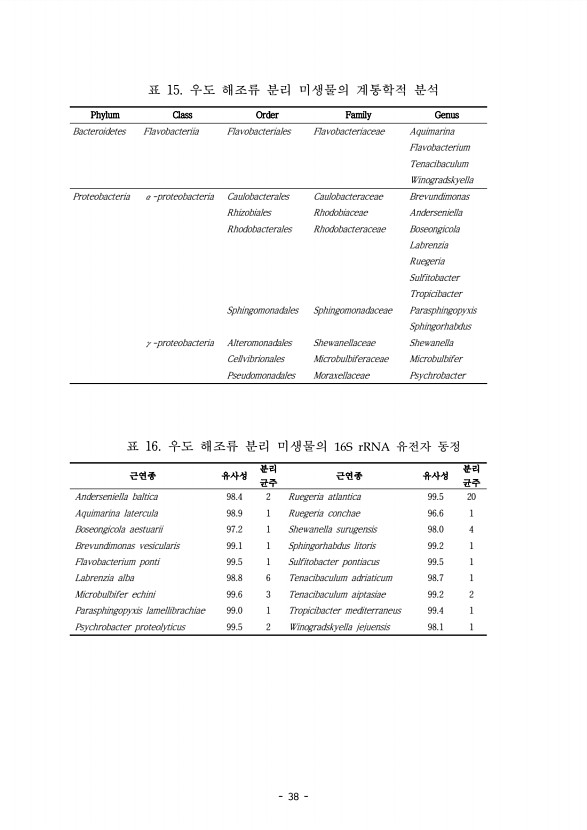 38페이지