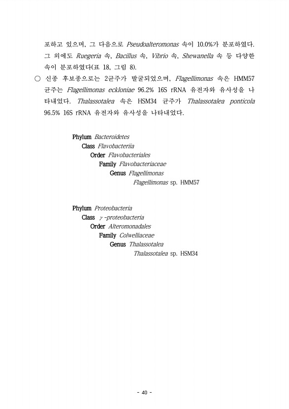 40페이지