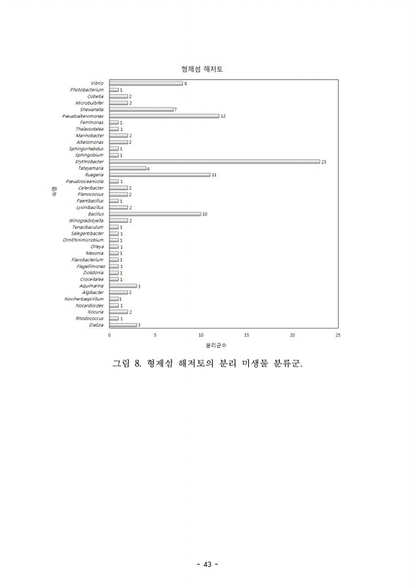 43페이지