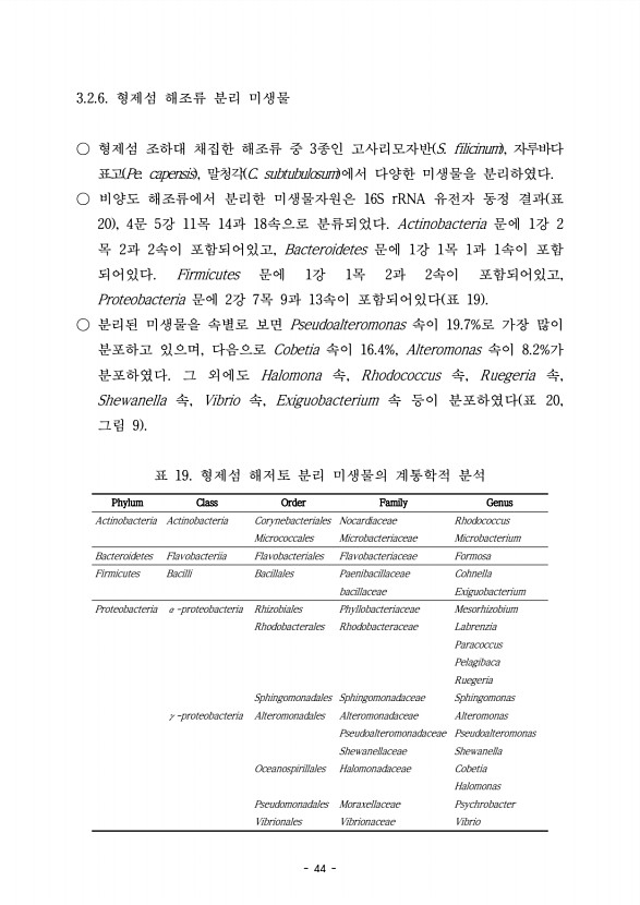 44페이지