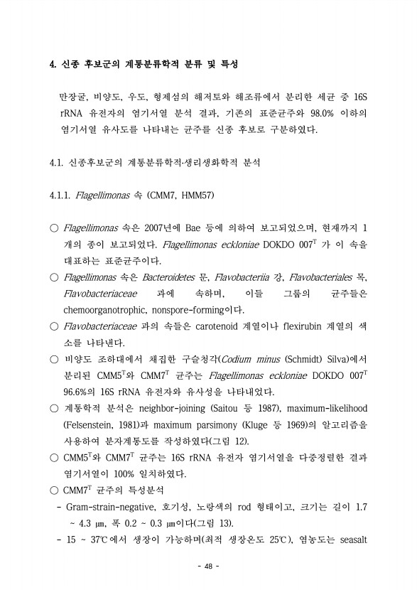 48페이지