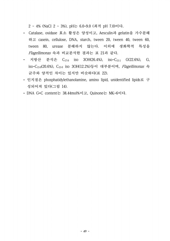 49페이지