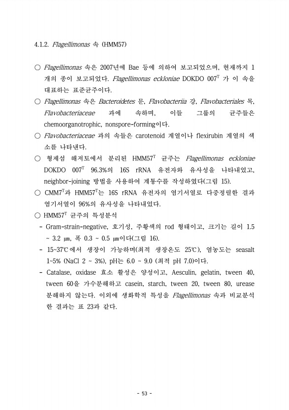 53페이지