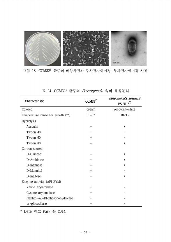 58페이지