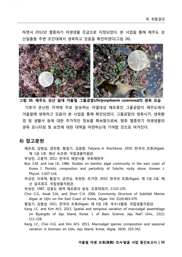 55페이지