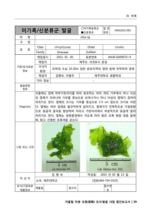 59페이지