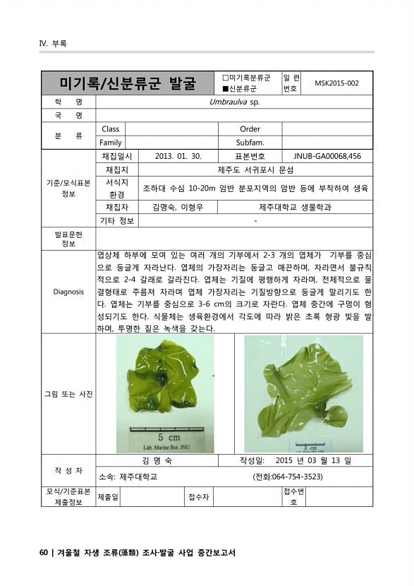 60페이지