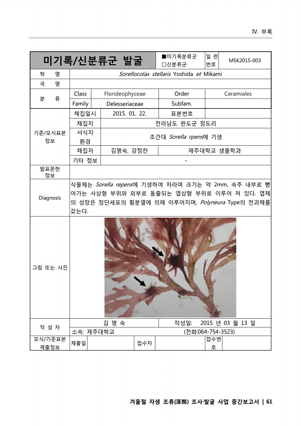 61페이지