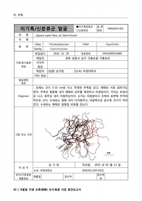 62페이지