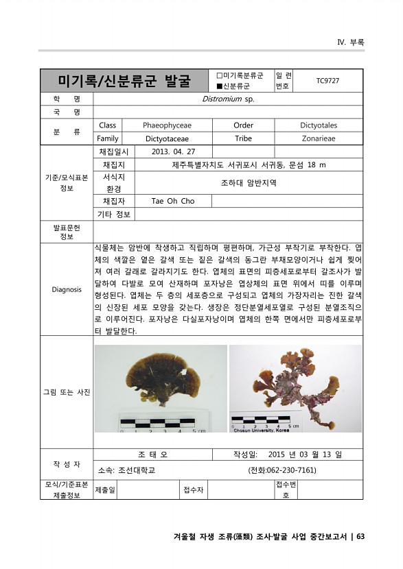63페이지