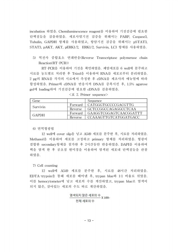 13페이지