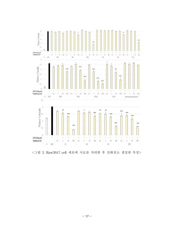 17페이지