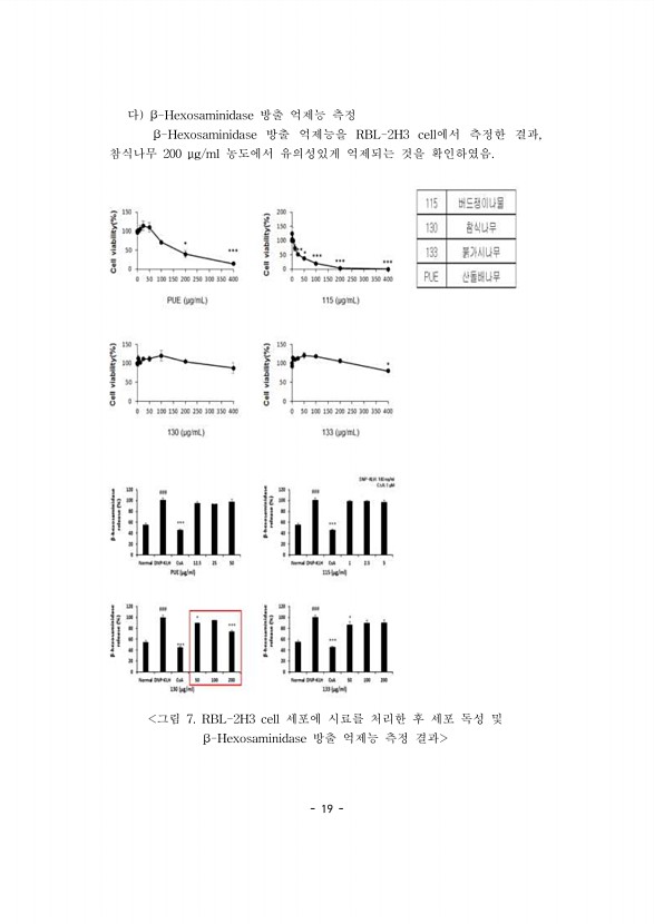 19페이지