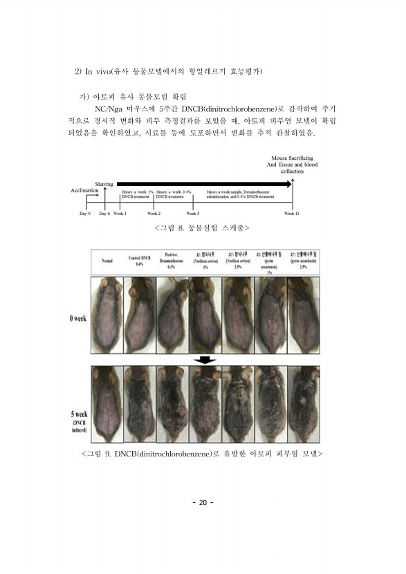 20페이지
