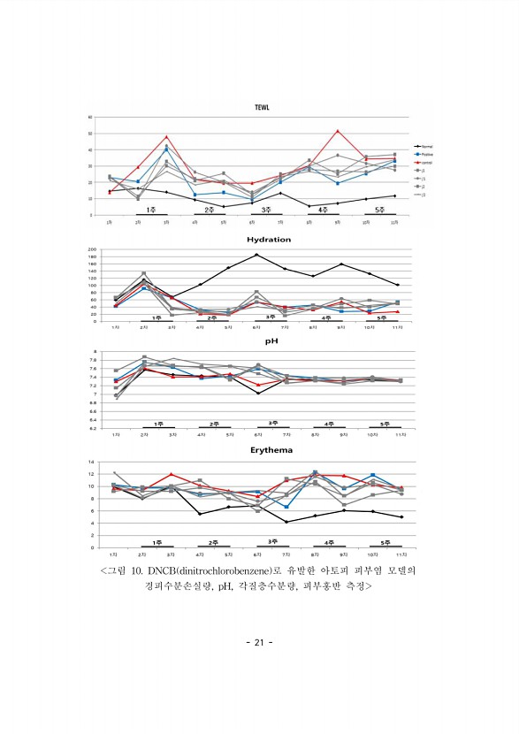 21페이지