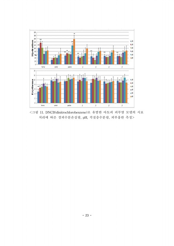 23페이지