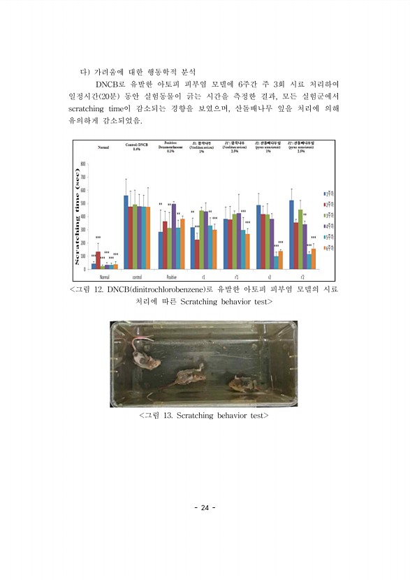 24페이지